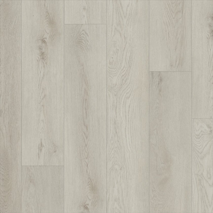 Shawfloors    Paladin Plus    Series  (Shaw)