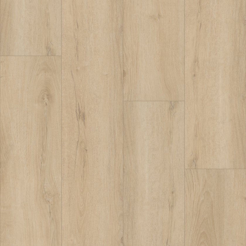 Shawfloors    Homeward    Series  (Shaw)