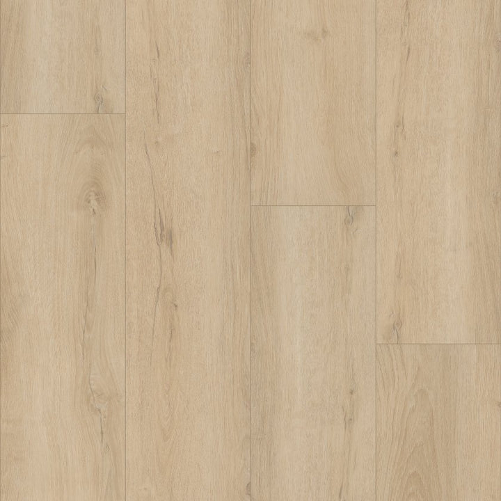 Shawfloors    Homeward    Series  (Shaw)