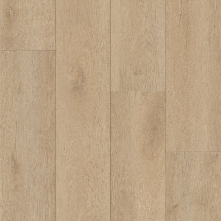 Shawfloors    Homeward    Series  (Shaw)