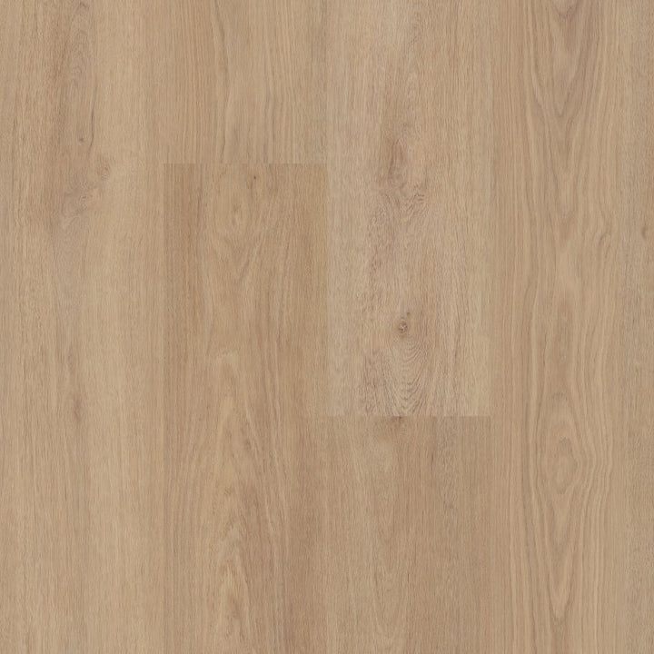 Shawfloors    Briard    Series  (Shaw)