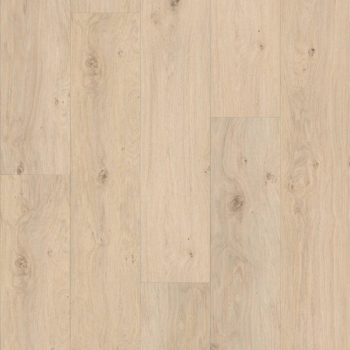 Shawfloors    Fresh Take    Series  (Shaw)