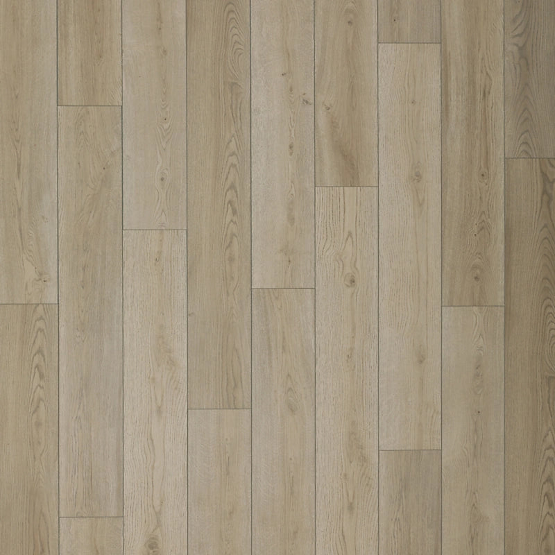 SolidTech Select   Serie  (DAT)