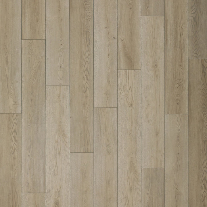 SolidTech Select   Serie  (DAT)