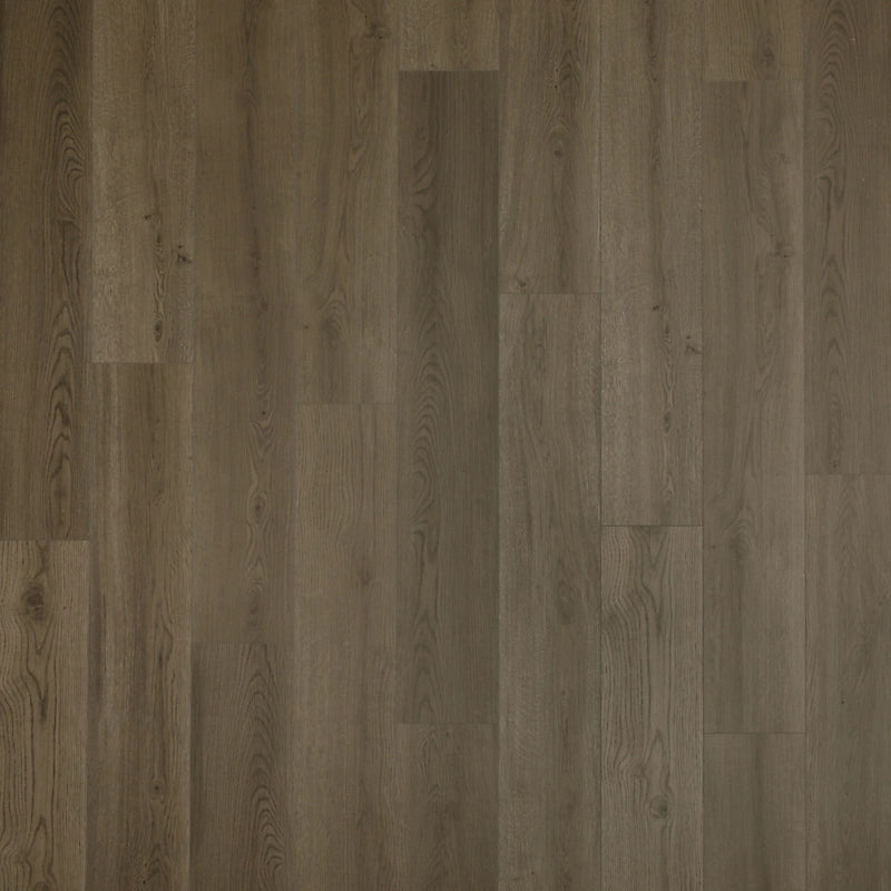 SolidTech Select   Serie  (DAT)