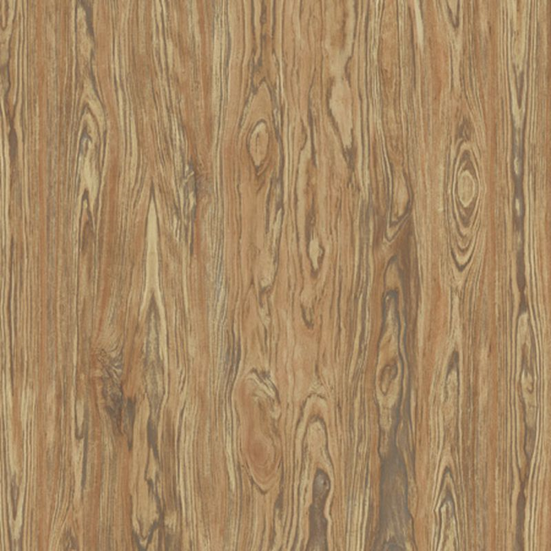 Casalgrande Geowood Series