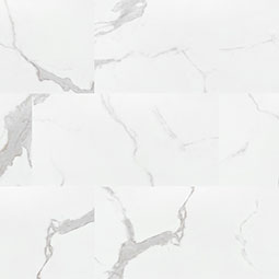 Trecento ®   Series   (MSI)