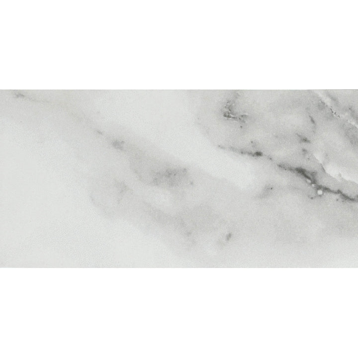 EmserTile          CONTESSA        Series  (EM)