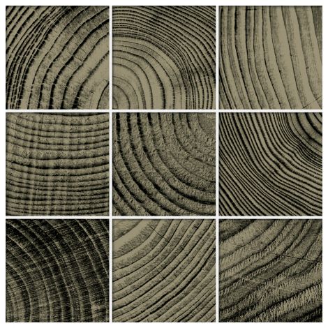 Nemo Tile  Convergence  Series