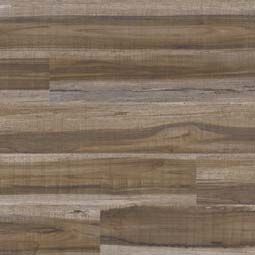 Cyrus® Series (MSI)