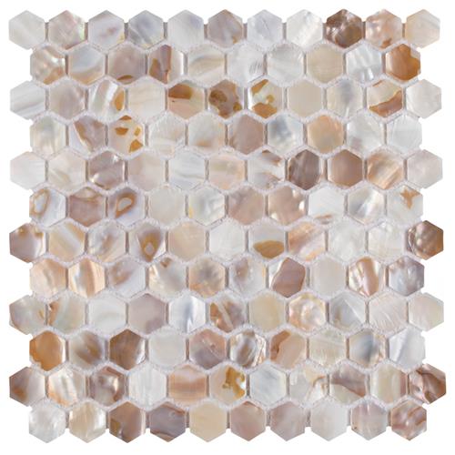 SomerTile           conchella         Series
