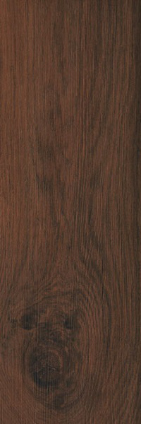 Florida Magnolia Series