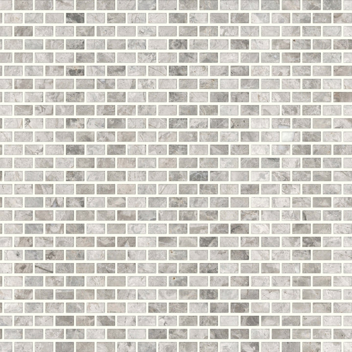 EmserTile       MARBLE SILVER     Series  (EM)