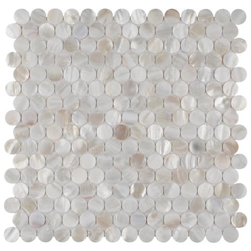 SomerTile           conchella         Series