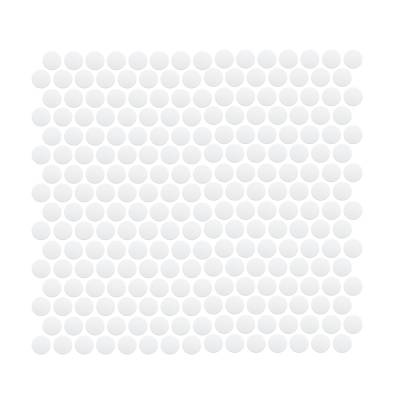 ProMosaics Unglazed – Porcelain Hex + Pennyround