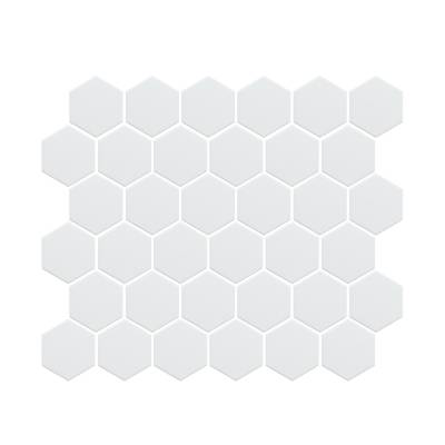 ProMosaics Unglazed – Porcelain Hex + Pennyround