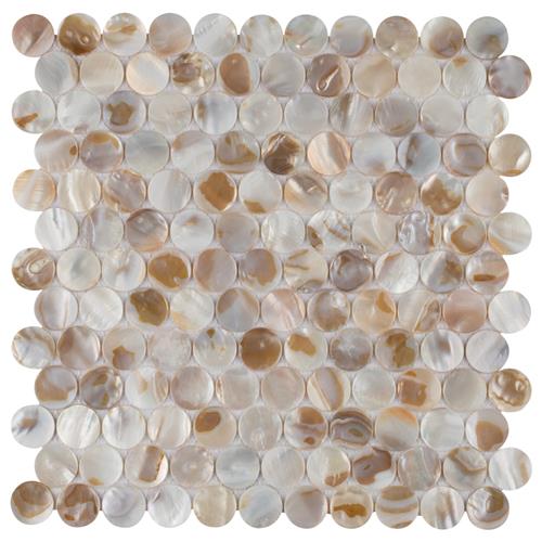 SomerTile           conchella         Series
