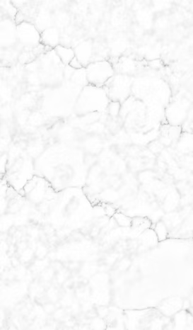 Spectrum Quartz        Slab      Series ®    (SQ)