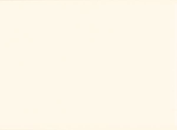 Prolinear Collection – Timeless Tile NYC