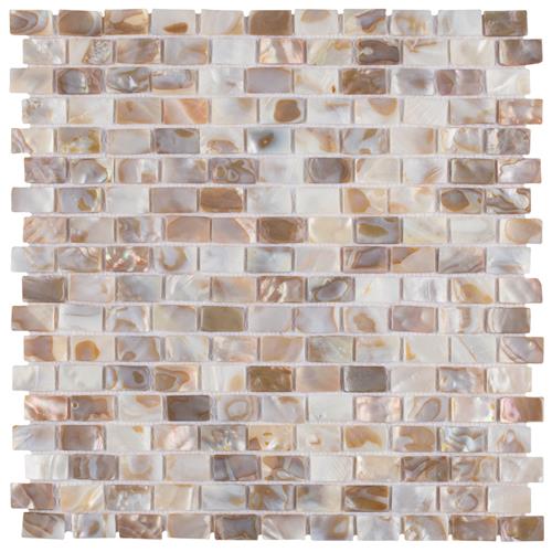 SomerTile           conchella         Series