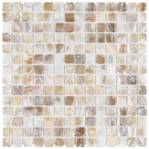 SomerTile           conchella         Series