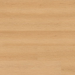 Studio ® Series (MSI)
