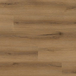 Studio ® Series (MSI)