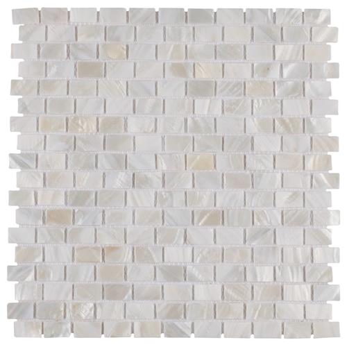 SomerTile           conchella         Series