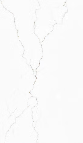Spectrum Quartz        Slab      Series ®    (SQ)