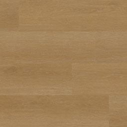 XL Ashton ®   Series   (MSI)