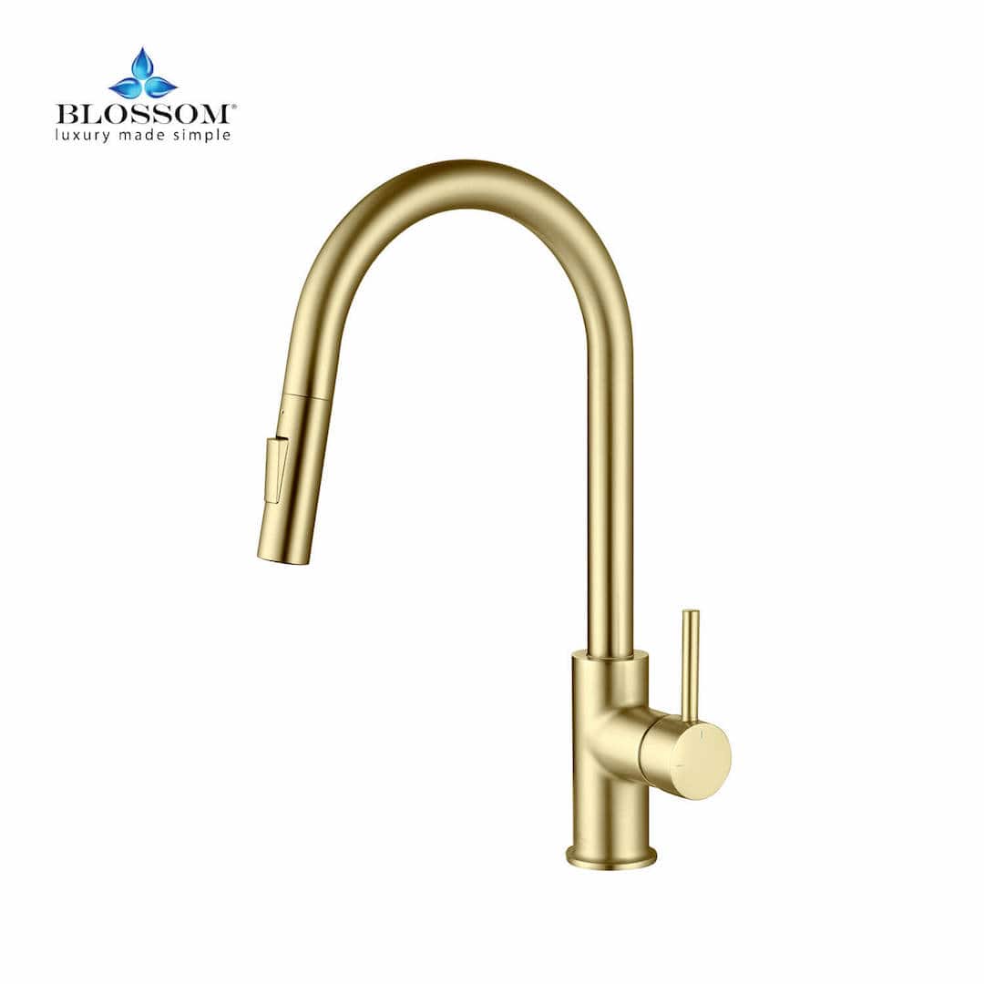 Single Handle Pull Down Kitchen Faucet – F01 206 06 Brushed Gold