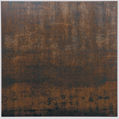 Altered State Series Copper Core 12" x 24"