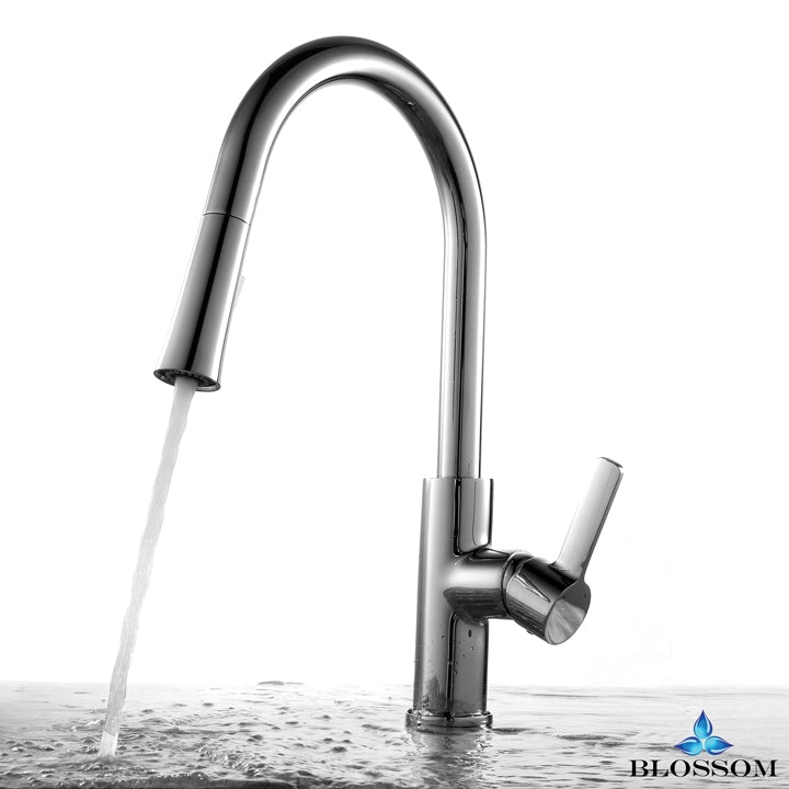 Single Handle Pull Down Kitchen Faucet - Chrome F01 201 01