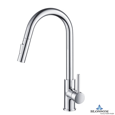 Single Handle Pull Down Kitchen Faucet - Chrome F01 206 01