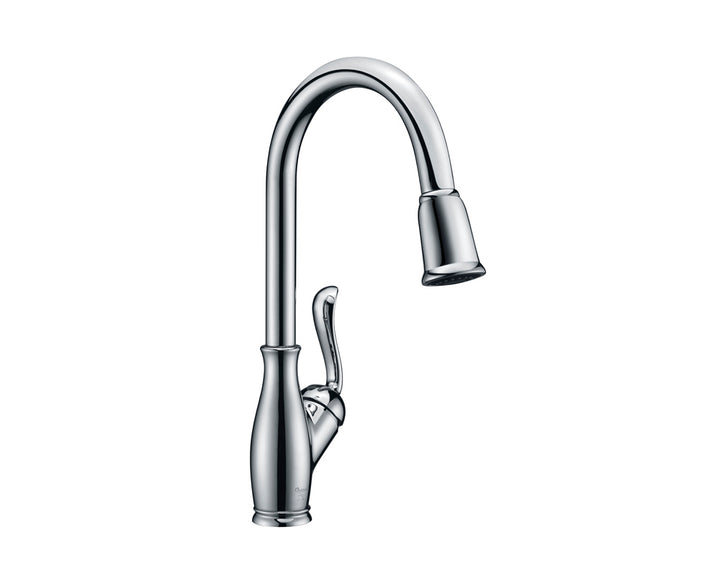 Oakland Kitchen Faucet KSK1114C Chrome