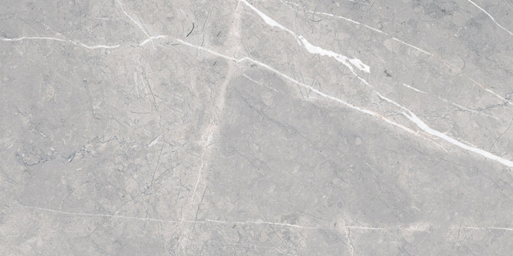 Roca Tile Piasentina Silver UFPIASLV-1224 12" x 24"