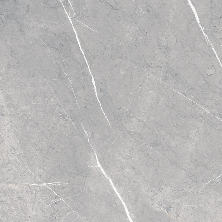 Roca Tile Piasentina Silver UFPIASLV-1224 12" x 24"