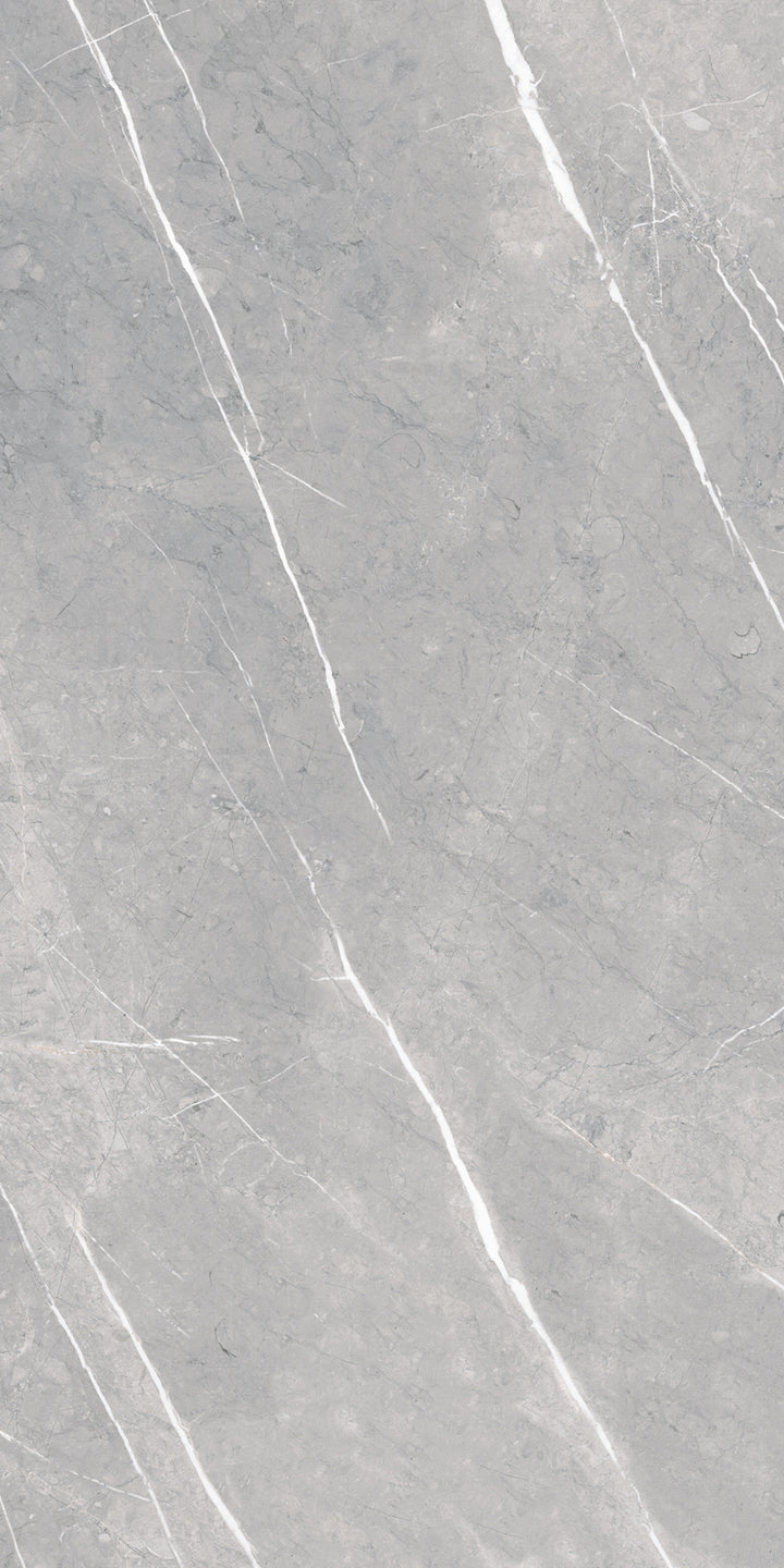 Roca Tile Piasentina Silver UFPIASLV-1224 12" x 24"